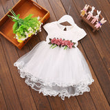 Princess Floral  🌺 Tulle Formal Dress Baby Girl and Toddler (4 colors available)